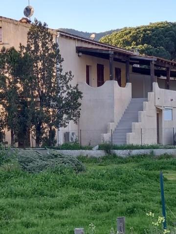 U Palmu Apartment Sagone  Bagian luar foto